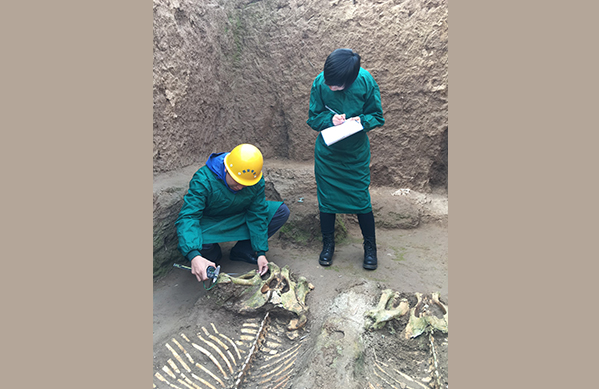 Major Chinese zooarchaeological findings of 2021