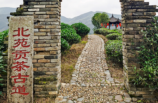 Ancient tea shipping route has rich cultural value